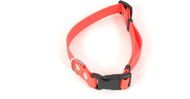 Fenica Collar iQsil orange 2 × 33-51 cm - Dog Collar