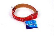 Dog Collar Petproducts Dog collar red 50 × 2,5 cm - Obojek pro psy