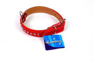 Petproducts Dog collar red 50 × 2,5 cm - Dog Collar