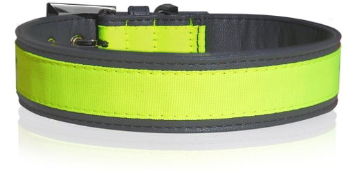 Milk&Pepper Neon yellow leather dog collar 2 × 40 cm - Dog Collar - Main image
