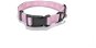 EXPLORER DOG Collar Rainbow S 24-36 × 1,5 cm - Dog Collar
