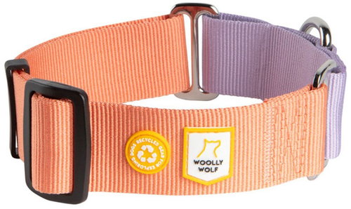 Woolly Wolf Semi-retractable martingale collar Salmon Pink Mix M - Dog Collar - Main image