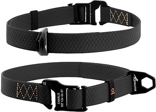 Evolutor Collar for Extreme Loads, Black 25-70cm/2.5cm - Dog Collar - Main image