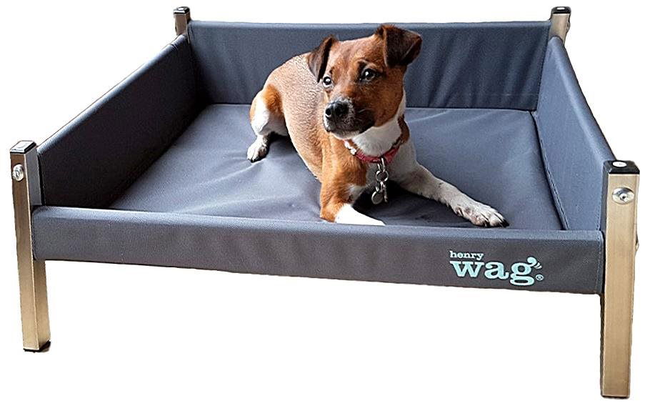 Henry wag elevated hot sale dog bed large