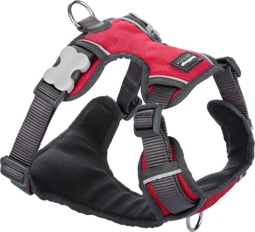 Red Dingo Padded Harness, Red S 37-52cm - Harness - Main image