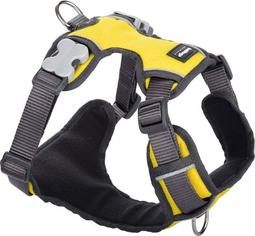 Red Dingo Padded Harness, Yellow S 37-52cm - Harness - Main image