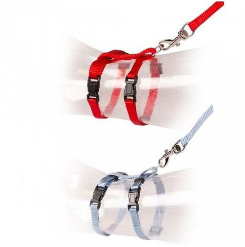 DUVO+ Uni Harness with Leash for Kittens Mix of Colours 15-25cm × 0.8cm-125cm - Harness - Main image