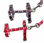 DUVO + Harness with Leash for Rodents 25-45 × 1cm × 1.2m - Harness