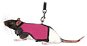 Trixie Vesta Harness with Leash for Rat - Harness