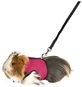 Trixie Vesta Harness with Leash for Guinea Pig - Harness