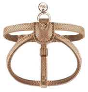 M&P Harness Naja Camel 30 × 1 cm - Harness