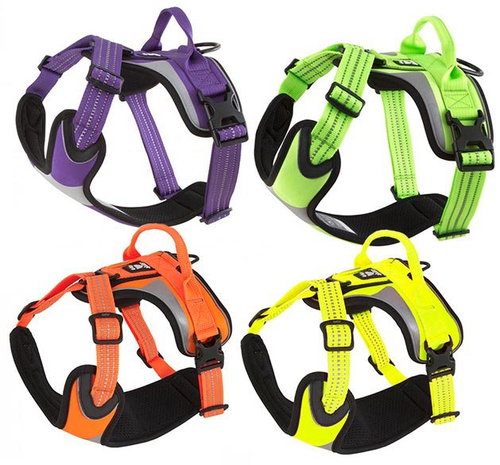 Hurtt Dazzle Harness - Harness - Main image