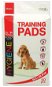 Absorbent Pad DOG FANTASY Pad 55,8 × 55,8cm, 30 pcs - Absorpční podložka