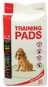 Absorbent Pad DOG FANTASY Pad 55,8 × 55,8cm, 50 pcs - Absorpční podložka