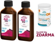 Vitar Veterinae Artivit syrup 200 ml 2 pcs + DentOn 50 g 2 pcs free - Food Supplement Set