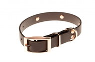 Biothan Collar with Studs  - Brown, Width of 20mm, Circumference of 40cm - Dog Collar