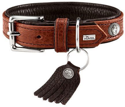 Hunter dog collar best sale