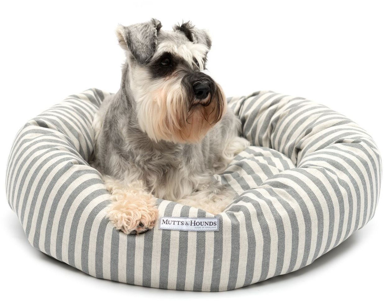 Schnauzer hotsell pillow bed