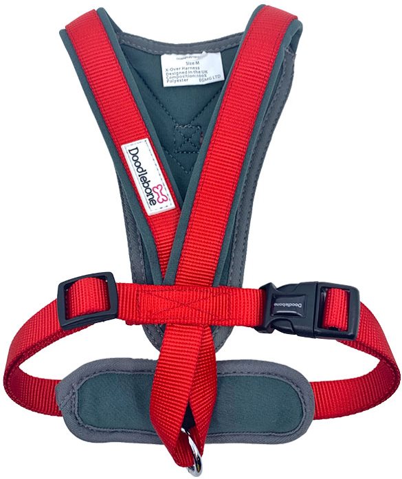 Doodlebone x 2025 over harness