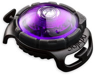 Orbiloc LED collar light purple - Collar Light