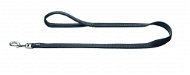 Hunter leash Divo gray 20 mm / 100 cm - Lead