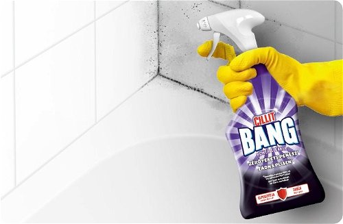 Cillit Bang Mold Removal Spray Review