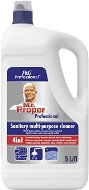 Disinfectant MR. PROPER Professional Disinfectant cleaner 5 l - Dezinfekce