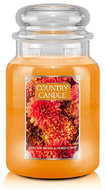 Country Candle Candle in glass box, Chrysanthemum and honey apple, 680 g - Candle