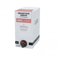 Coffee Limit Pomegranate with Echinacea, 3L bag in box - Syrup