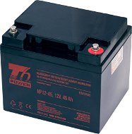 T6 Power NP12-45, 12 V, 45 Ah - Batéria pre záložný zdroj