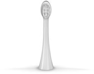 Concept ZK0062 medium 2 pcs white - Replacement Head