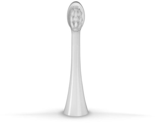 Concept ZK0062 medium 2 pcs white - Replacement Head - Main image