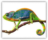 Hadřík Coolkousky Čistící hadřík Chameleon - Hadřík