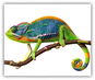 Hadřík Coolkousky Čistící hadřík Chameleon - Hadřík