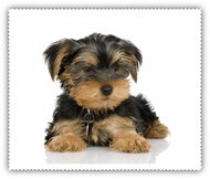 Coolkousky Cleaning cloth Dog 2. - Cloth