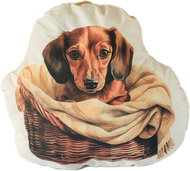 Coolkousky Pillow with dog pocket - Pillow