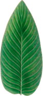 Costa Nova Strelizia Leaf Riviera Servírovací talíř 39,8 × 17,2 cm, světle zelený - Plate