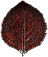 Costa Nova Riviera Hydrangea Leaf Servírovací talíř list 21,8 × 19,1 cm, Vigne Red - Plate
