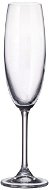 CRYSTAL BOHEMIA Glass for sparkling wine 6 pcs 220 ml COLIBRI decorated - Champagne Glass