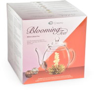 Creano Black & White Tea gift set, glass teapot and 6 pieces of tea - Gift Set
