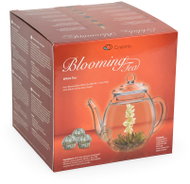 Creano White Tea gift set, glass teapot and 6 pieces of tea - Gift Set