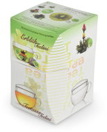 Creano Teelini Green Tea gift set, glass cup and 8 pieces of tea - Gift Set