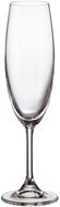 Crystalite Bohemia KLARA/SYLVIA 6 pcs 220 ml champagne - Glass