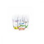 Crystalex Sada sklenic na pálenku 6 ks 60 ml RAINBOW - Sklenice