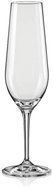 Crystalex Set of champagne glasses 2 pcs 200 ml AMOROSO - Glass