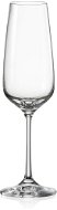 CRYSTALEX Champagne glasses 6pcs 190 ml AMIRA - Glass Set