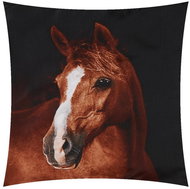 TopCushions 3D cover 45×45 - Horse - Bed Linen