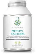 Cytoplan METHYL FACTORS - B1, Betaine, B2, B6, Folic Acid, Vitamin B12 and Zinc, 60 capsules - Multivitamin