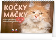 Presco Group Stolní kalendář Kočky Mačky CZ/SK 2023 - Stolní kalendář