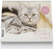 Vikpap Stolní kalendář Kočky a koťata 2023 - Stolní kalendář